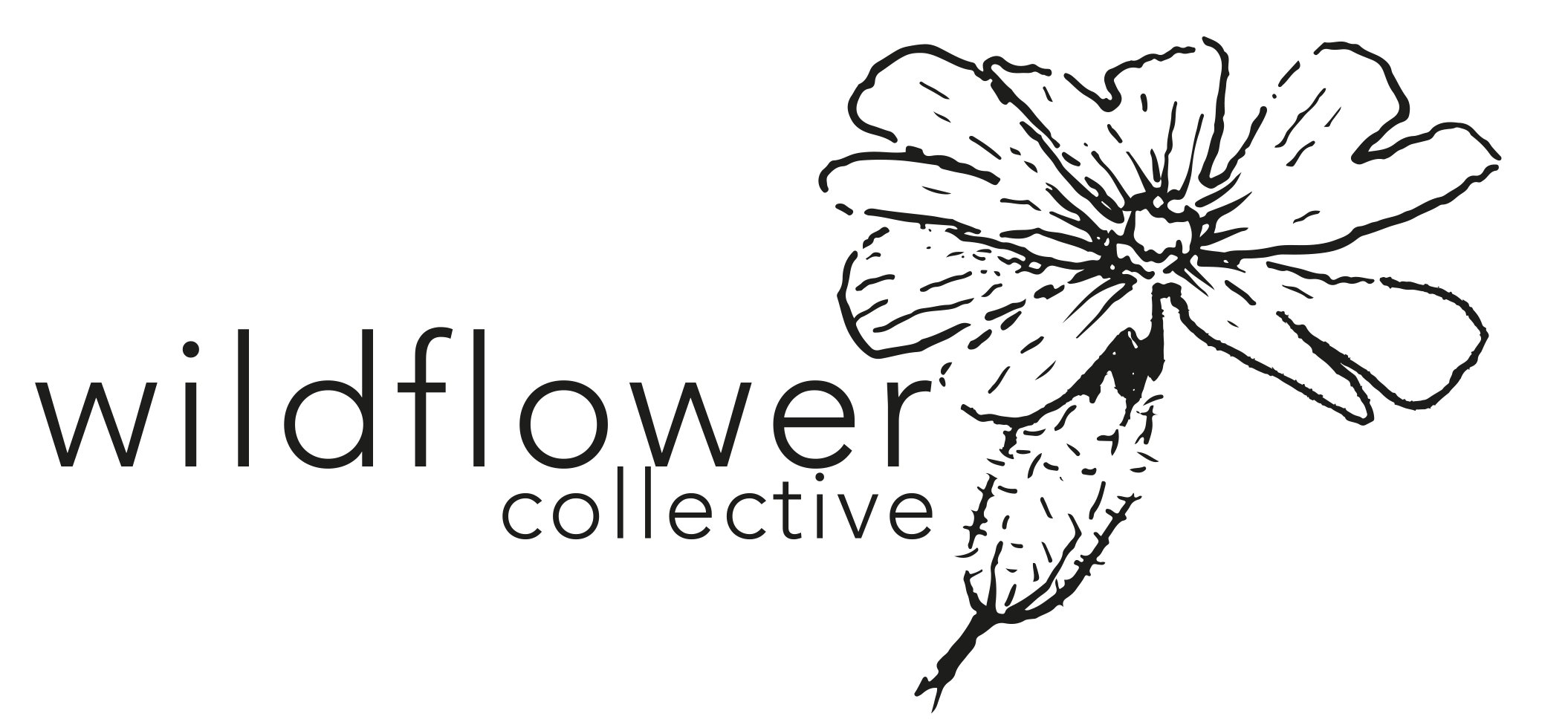 A dating agency for wildflower meadows Wildflower Collective